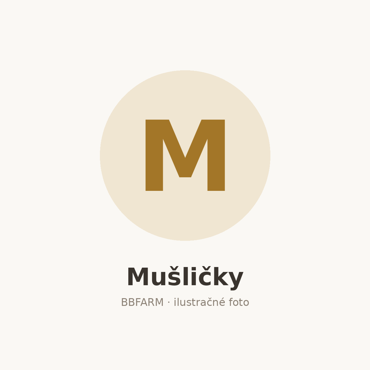 Mušličky – ilustračné foto