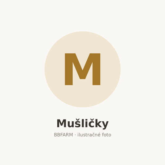 Mušličky – ilustračné foto